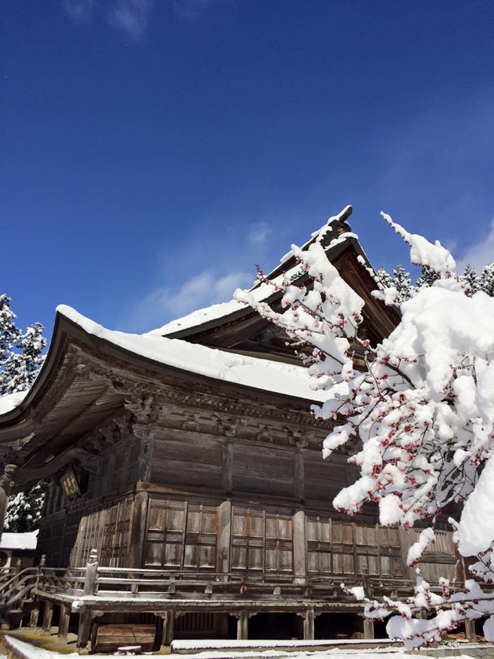法福寺 紅梅と雪